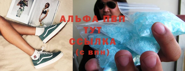 МДПВ Каменка