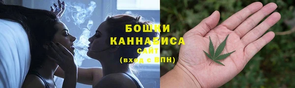 МДПВ Каменка