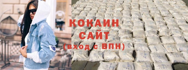 МДПВ Каменка