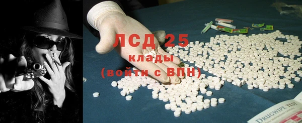 МДПВ Каменка