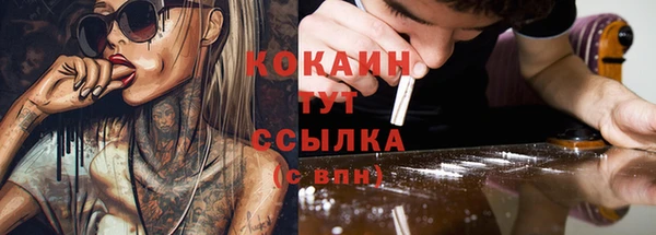 МДПВ Каменка