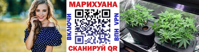 Купить где  Баймак  Канабис планчик 
